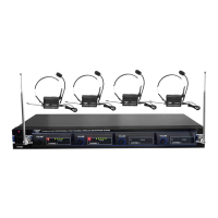 Preview: Pyle Pro PDWM4400