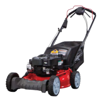 Preview: Snapper 7800961-00