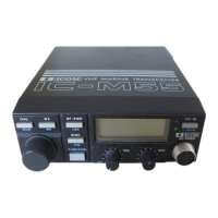 Preview: Icom IC-M55