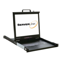Preview: serverLink LKS-CD17SR
