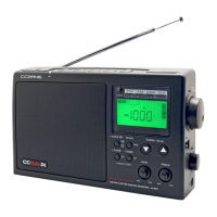 Preview: C. Crane CCRadio2E