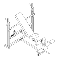 Preview: ParaBody 807 BODY SYSTEM