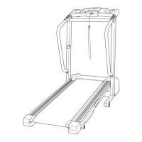 Preview: Weslo WLTL29321