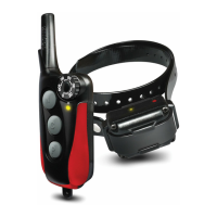 Preview: Dogtra iQ