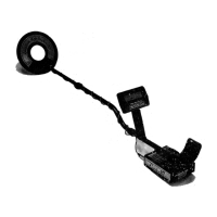 Preview: Whites Quantum XT