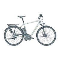 Preview: Derby cycle Pedelec