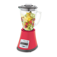 Preview: Oster BLSTMG-W00