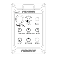 Preview: Fishman Aero Plus