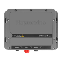 Preview: Raymarine CP100