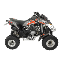 Preview: Can-Am DS 650 X
