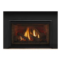 Preview: Quadra-Fire QFI30 FB-C