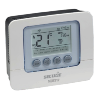 Preview: Secure SCS317