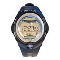 Preview: Casio 2487