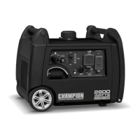 Preview: Champion 100156