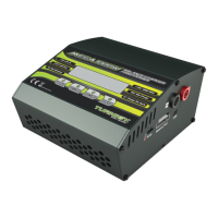 Preview: Turnigy MEGA 1000W