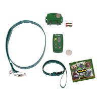 Preview: Remington SideKick