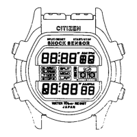 Preview: Citizen D130