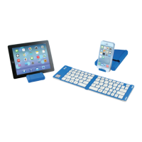 Preview: Sela iwerkz