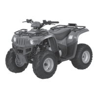 Preview: Arctic Cat ATV 2010