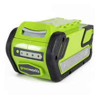 Preview: GreenWorks 29652