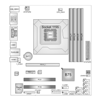 Preview: Biostar BIB75-M2T