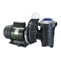 Preview: PoolRite Dominator series