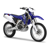 Preview: Yamaha 2011 WR250FA
