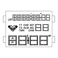 Preview: Roxy Wonton