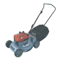 Preview: Bushranger 46 TB5