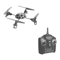 Preview: WLtoys V929