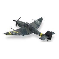 Preview: FMS JU 87 G-2 STUKA