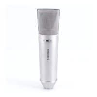 Preview: RODE Microphones NT 2