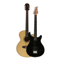 Preview: Fretlight 5