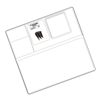 Preview: Paragon Super II