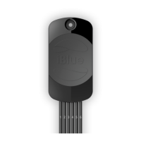 Preview: iBlue immobilizer