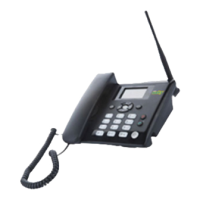 Preview: Huawei F203