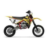 Preview: Cobra 2009 CX65