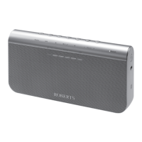 Preview: Roberts BluPad