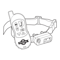 Preview: Petsafe ST-100