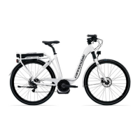 Preview: Cannondale E-Series