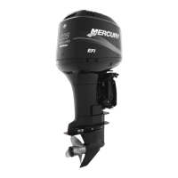 Preview: Mercury 250 3 Litre