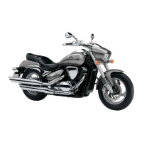 Preview: Suzuki 2010 VZ800L0