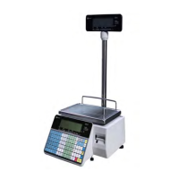 Preview: Rice Lake ISHIDA Uni-3