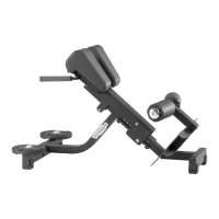 Preview: Technogym lower back bench