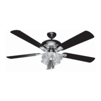 Preview: Litex E-PD52 WW5 C