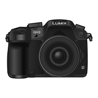 Preview: Panasonic DMC-GH3P