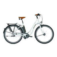 Preview: Raleigh ebike