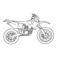 Preview: Yamaha 2004 WR250FS