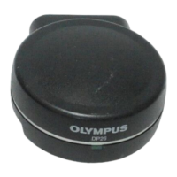 Preview: Olympus DP26