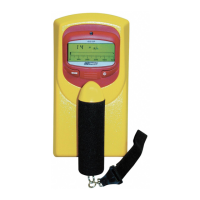 Preview: Fluke Victoreen 451 P